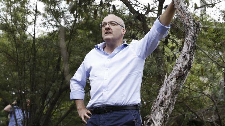 'Unapologeticly bold': NSW Labor leader, Luke Foley, at The Conservation Hut in Wentworth Falls, The Blue Mountains. Photo: Janie Barrett