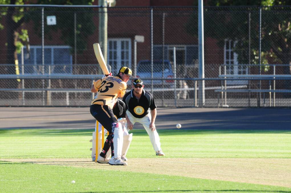 Steve Skinner was part of a 75-run opening partnership which set up Newtown's win in the Megahit last Friday night. 			        Photo: Hannah Soole