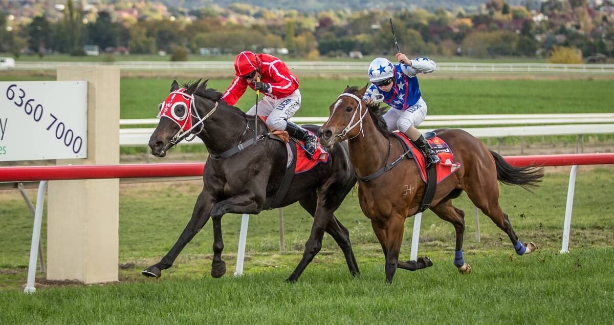 The Brown One (inside) winning at Bathurst in April. The mare will line up in Sunday's Coonamble Cannonball (1100m), which will now be run at Dubbo.  
Photo: JANIAN McMILLAN (www.racingphotography.com.au)