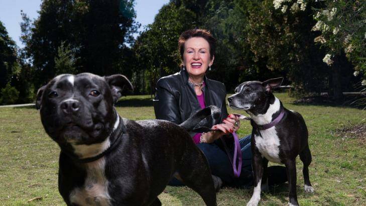Sydney Lord Mayor, Clover Moore, with her dogs Buster and Bessie in Sydney Park, is keen for another term in office. Photo: Janie Barrett
