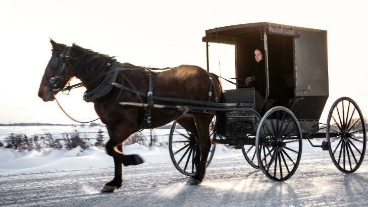An Amish woman drives her horse-drawn buggy on snowy rural road. Photo: iStock