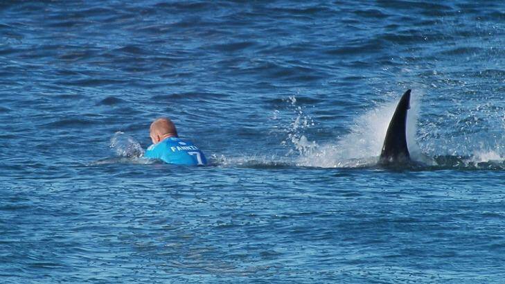 Mick Fanning's showed grace under pressure in a shark attack in South Africa, but at home Australians are beginning to panic. 