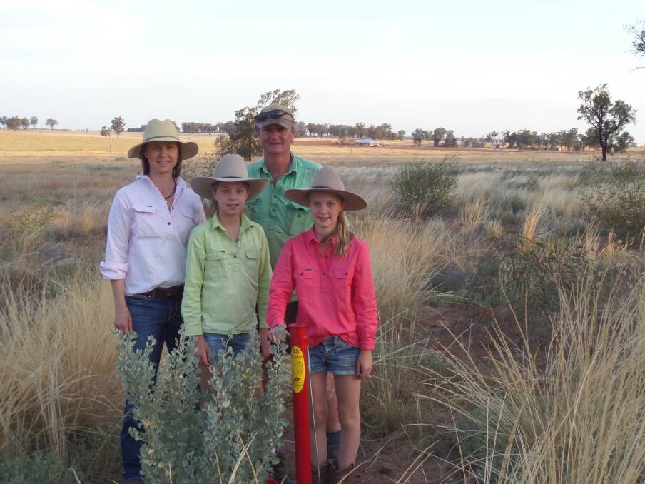 Catherine, Andrew, Annabelle and Belinda Campbell in the tree corridor they planted in August last year .