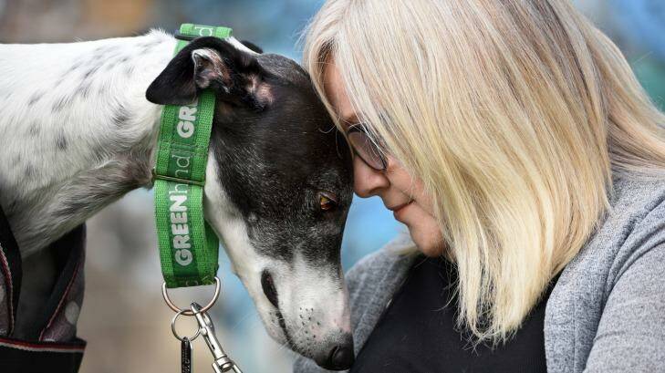 Newtown resident Laurina Chilcott and Atlas at a rally in support of the greyhound racing ban. Photo: Steven Siewert