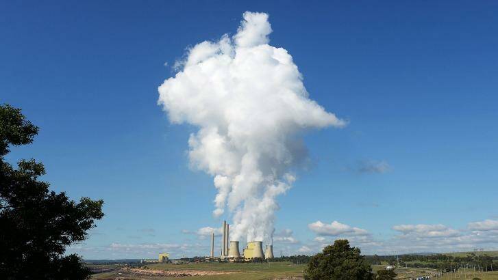 Steam rises from the Loy Yang coal power station in Victoria. Photo: Carla Gottgens