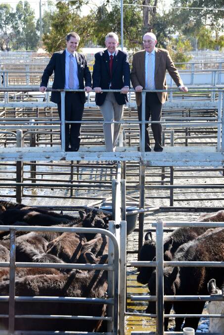 Dubbo mayor Mathew Dickerson and Parkes MP Mark Coulton show Deputy Prime Minister Warren Truss around Dubbo saleyards, which will benefit from a $3.29 million grant from the National Stronger Regions Fund. 							        Photo: BELINDA SOOLE