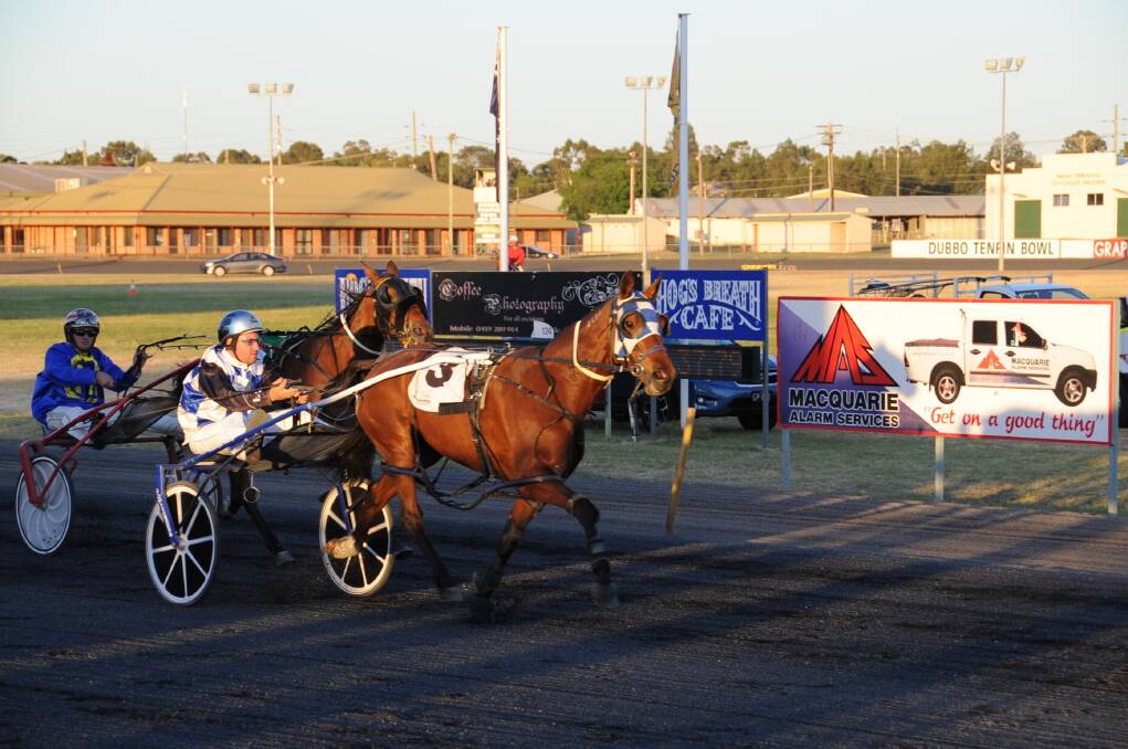 Leigh Davis moves Studleigh Becky to the lead on his way to recording an impressive win at Dubbo Showground on Friday night. 	Photo: Cheryl Burke