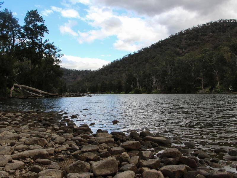 Flooding the Burragorang Valley in the Warragamba catchment could endanger one species of bird.