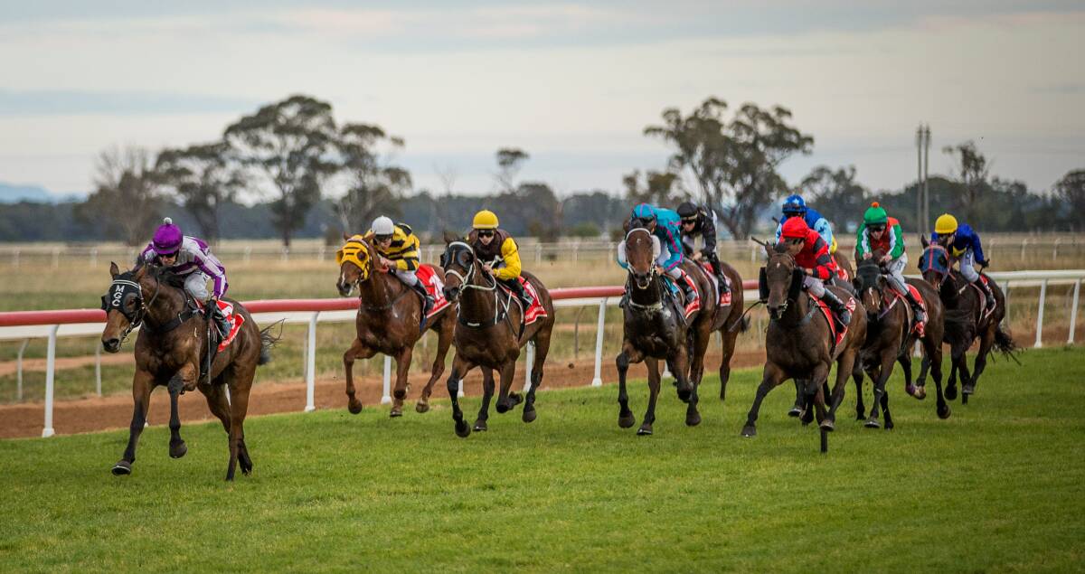 Grass Cutter (grey and purple colours) runs away from his rivals to win at Narromine recently.  
Photo: JANIAN McMILLAN (www.racingphotography.com.au)