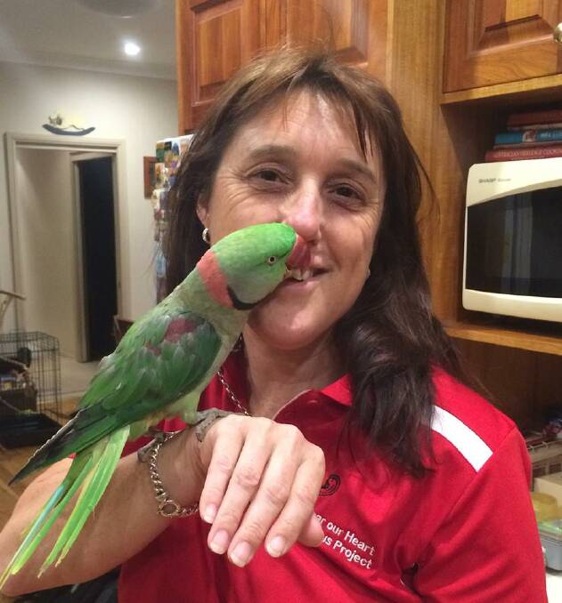 An overjoyed Rachel Mills has been reunited with her parrot Bazil, who went missing at the weekend.		 Photo: contributed