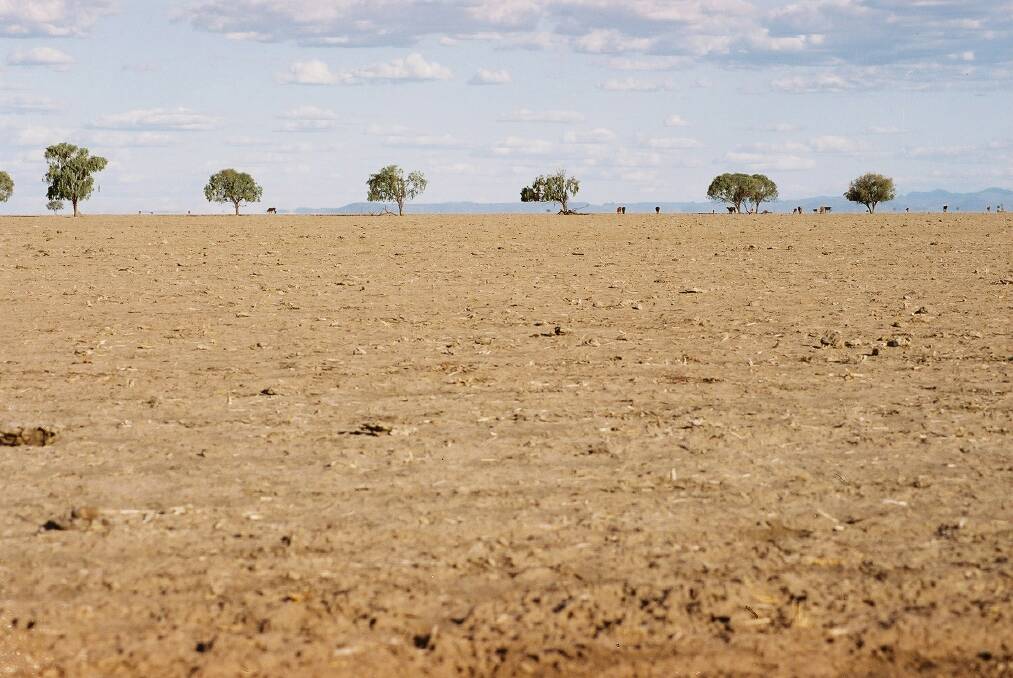 Walgett Shire Council has been working on urgent measures to stabilise the town's diminishing water supply. Photo: FILE