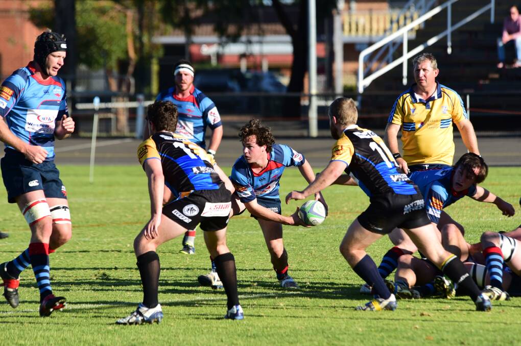 Despite scrumhalf Tim Phillips, pictured in action against CSU, departing with an early injury the Dubbo Kangaroos were still able to defeat Forbes on Saturday. 								      Photo: CHERYL BURKE