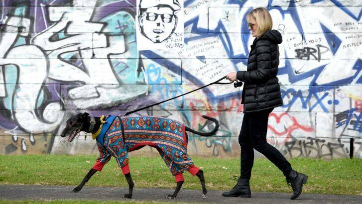 Bridget Dominic and her greyhound Rivers join the rally in Newtown on Sunday.
 Photo: Steven Siewert