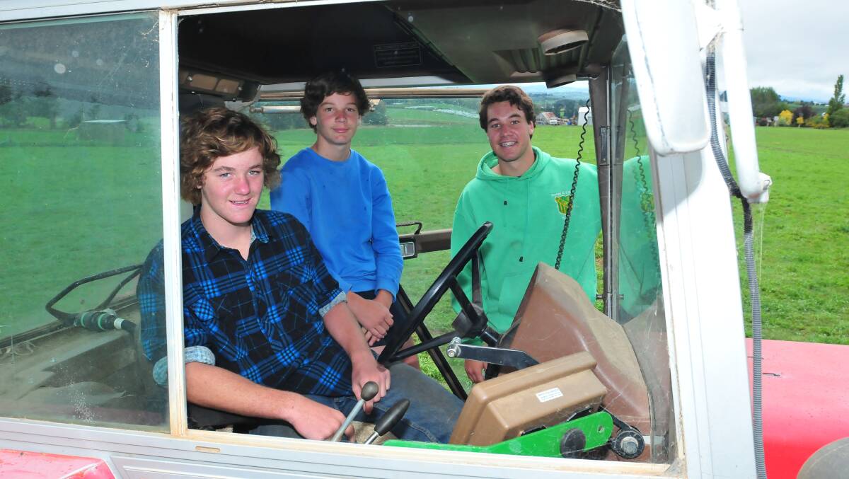 PITCHING IN: Jack, Mitch and Toby West help out around the orchard. Photo: JUDE KEOGH