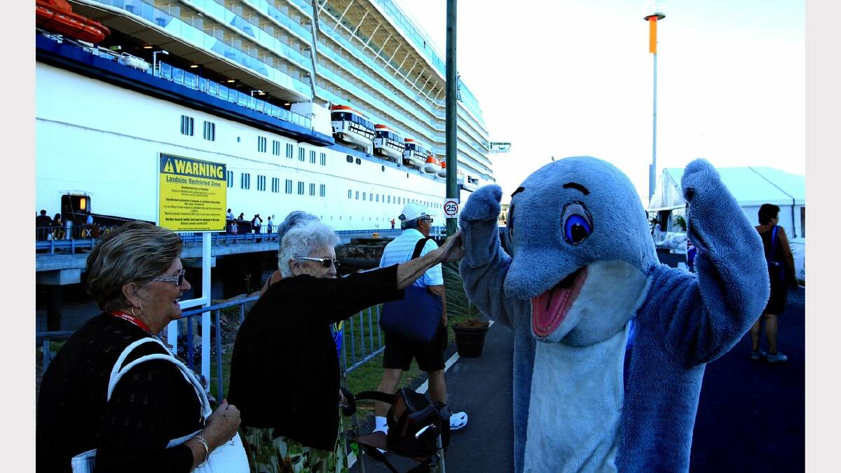 A happy dolphin meeting people as they disembark off the Celebrity Solstice. Picture: Simone De Peak