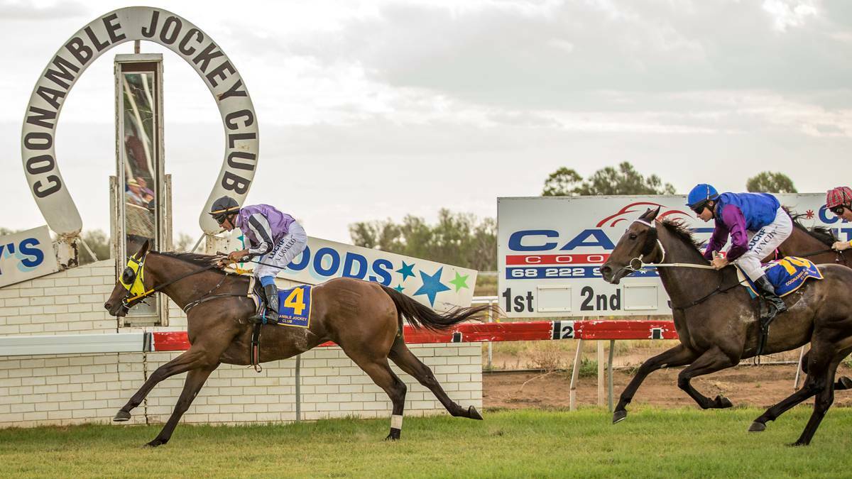 Prettylittlefellow goes past the post to win the Country Championship Preview (1300m) at Coonamble on Tuesday evening. Photo: Janian McMillan (www.racingphotography.com.au)