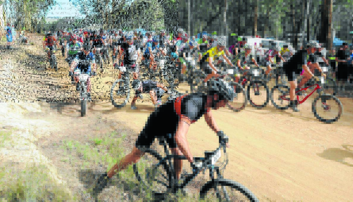 QUICK START: Around 217 riders take off in the first leg of the Fairfax Media Evocities MTB Series held in the Kinross State Forest near Orange yesterday. 
Photo: JUDE KEOGH 0215mtb24