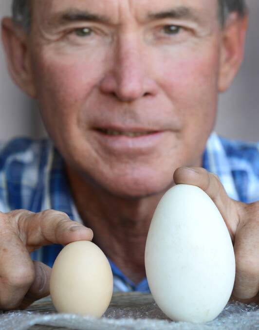 WHAT A CRACKER: Local cattle farmer Martin Powell says his massive 169.3g egg was ‘fabulous’ on the palate.