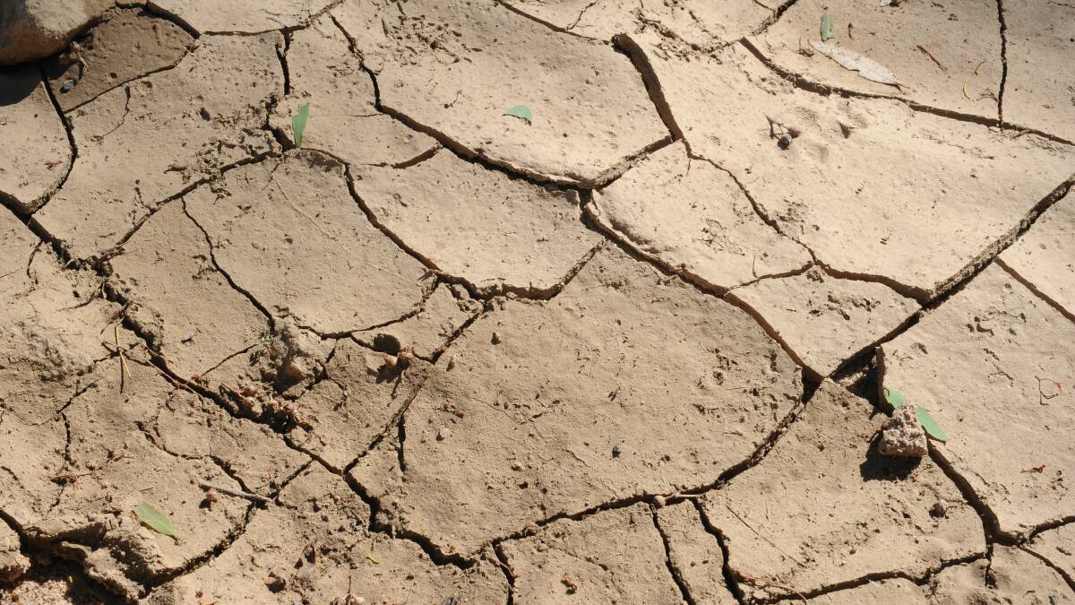 North-west NSW is feeling the impact of prolonged drought. Photo: THE LAND