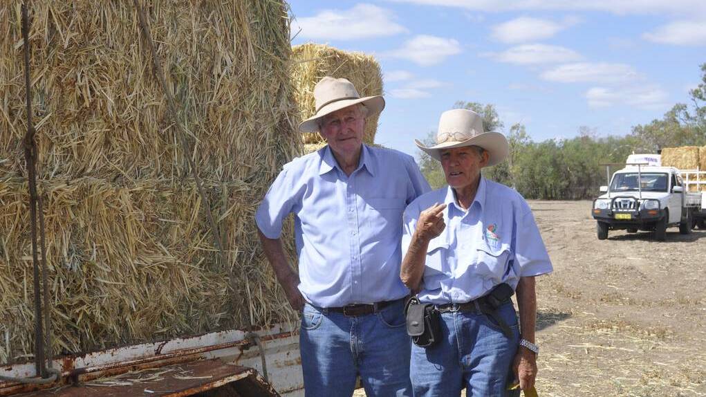 LIGHTNING RIDGE: Tony Dowton and Jenny Marshall collecting their bales of hay.