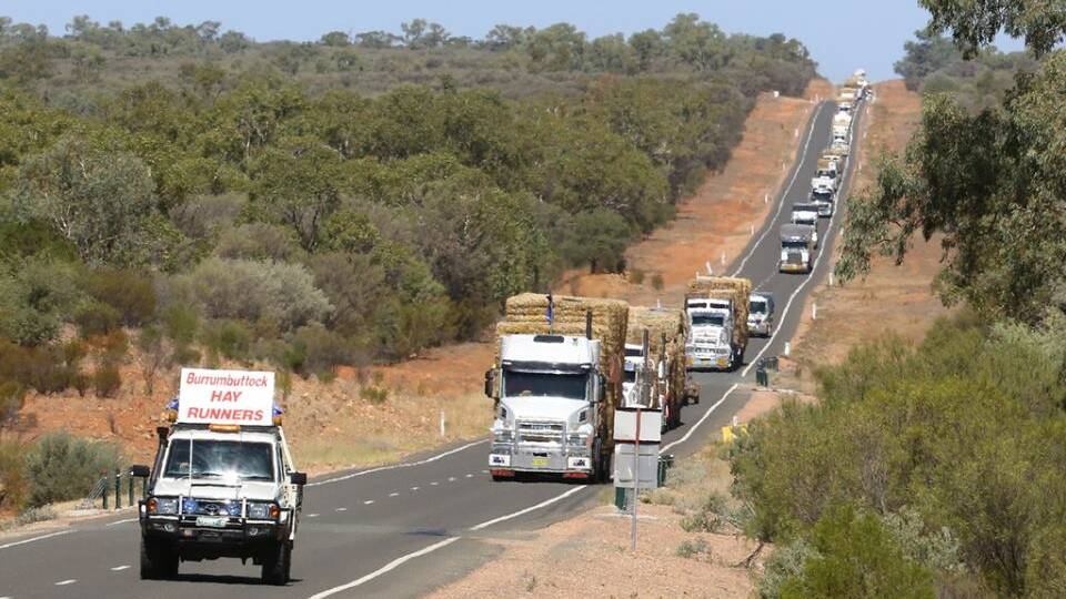 About 60km out of Cobar. Photo: ‎SCOTT CURTIS / FACEBOOK. 