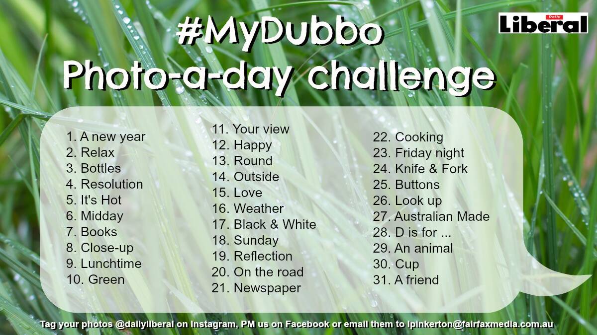 #MyDubbo: Photo-a-day challenge Days 16 - 22 | Photos