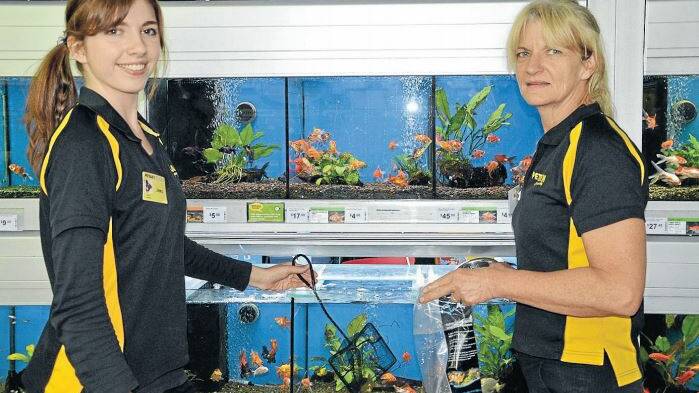 Dubbo Petbarn’s fish expert, Jenna Chippindall and store manager, Melanie Currey. Photo: TAYLOR JURD
