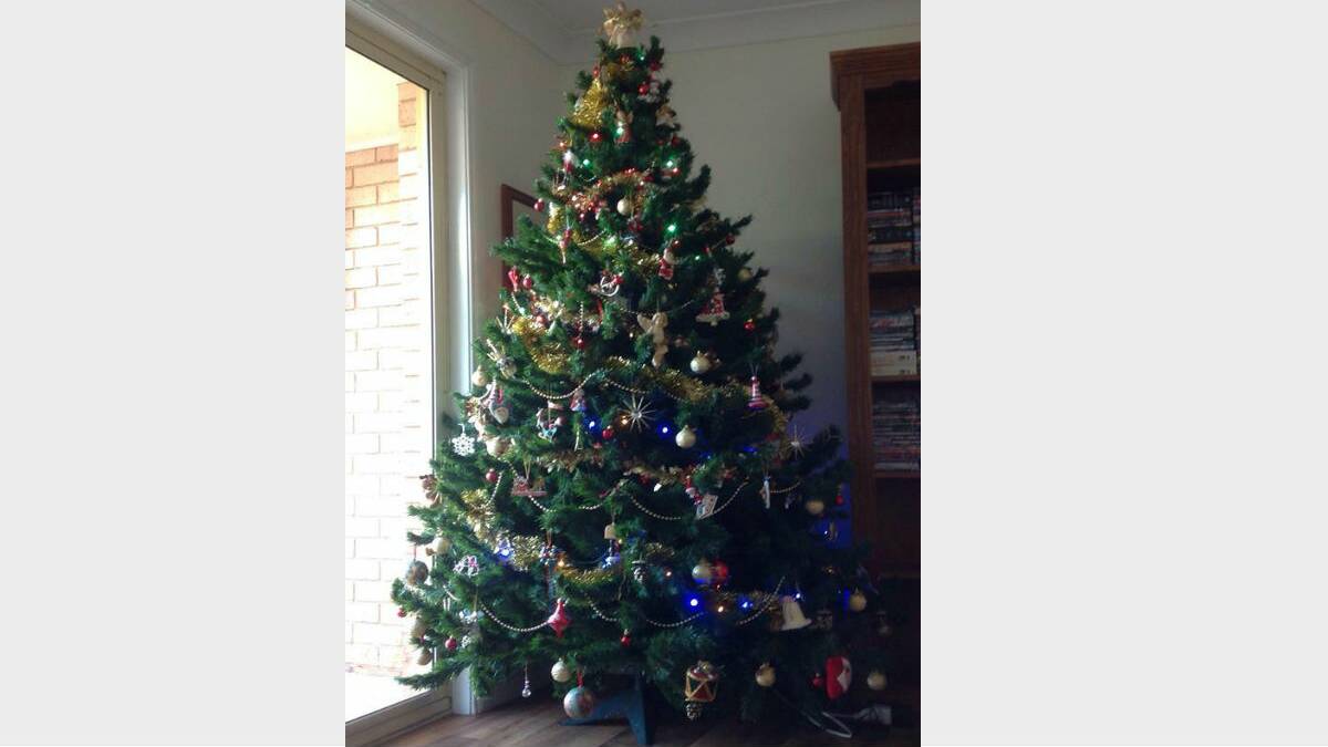13. HOME: Angela and Mathew O’hehir said they put their tree out for council pick up this year then decided one more year . Do you think they have created a winner? Vote below. 