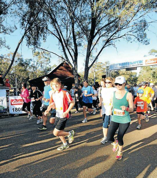 Dubbo Stampede connects city’s best assets