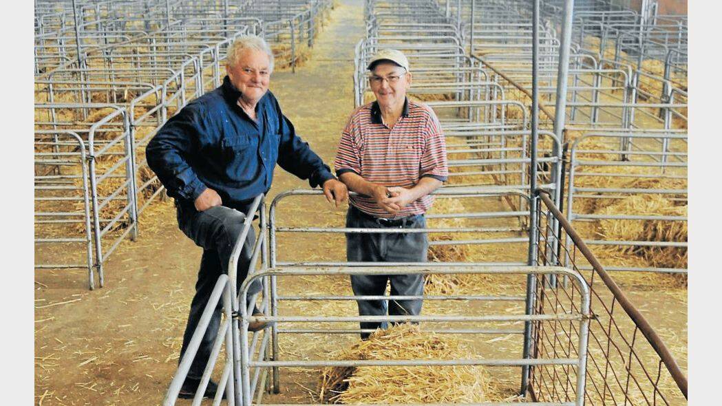 MAY: Sheep section chief steward Mike Brien with another long-term volunteer, John Bennett. Photo: BELINDA SOOLE