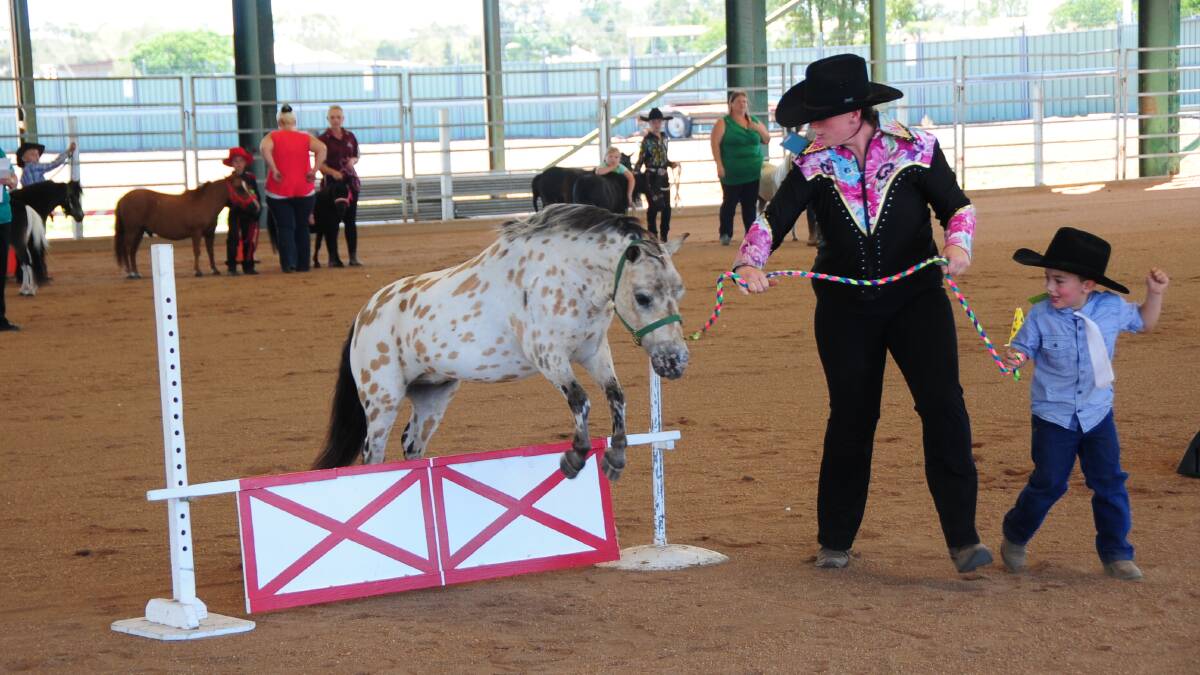 MINIATURE HORSE SHOW: Scenes from the show Photos: CHERYL BURKE