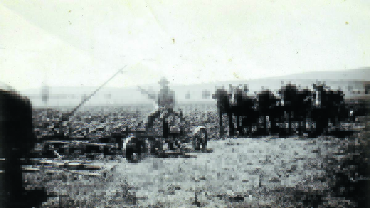 Farming was oh so different during Seddon Westcott’s years at ‘Kadina Park’. The pic was taken in 1943.
