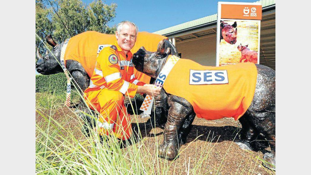 NOVEMBER:  Macquarie Region SES deputy controller Phil Lalor dresses up the Visitor Centre rhinos in orange. Photo BELINDA SOOLE