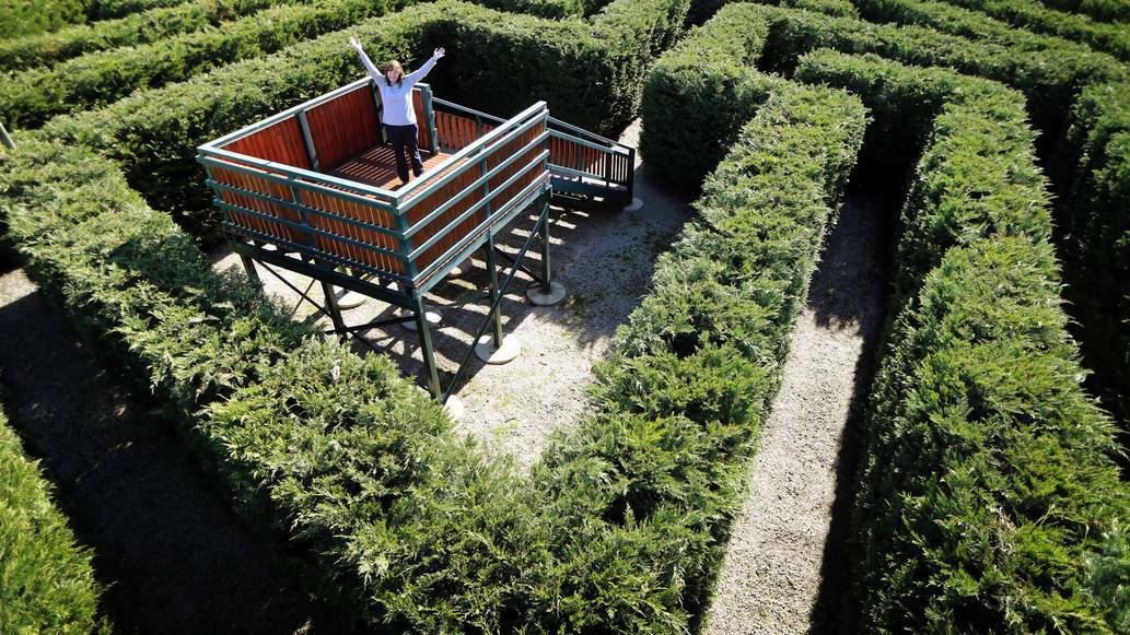 Eryl Neil looks from the centre vantage point over the maze which will open at the property today. Pic: John Russell, Border Mail