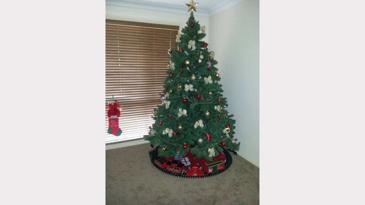 15. HOME:  Kasey Brown sent through this beautifully decorated tree. Is it the best tree you have seen? Vote below.  