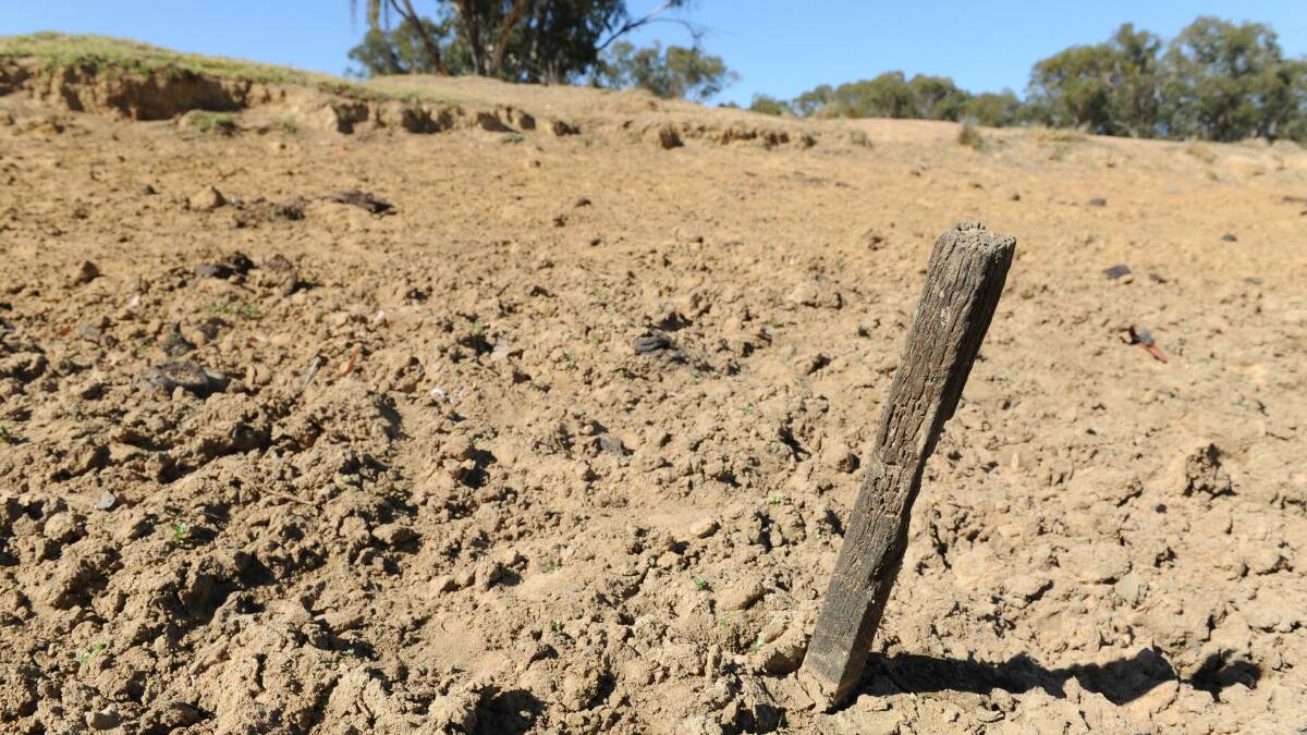 Mr Coulton said the region stretching from Coonamble to the Queensland border and across to Weilmoringle and Enngonia had been dry for up to four years. Photo: THE LAND