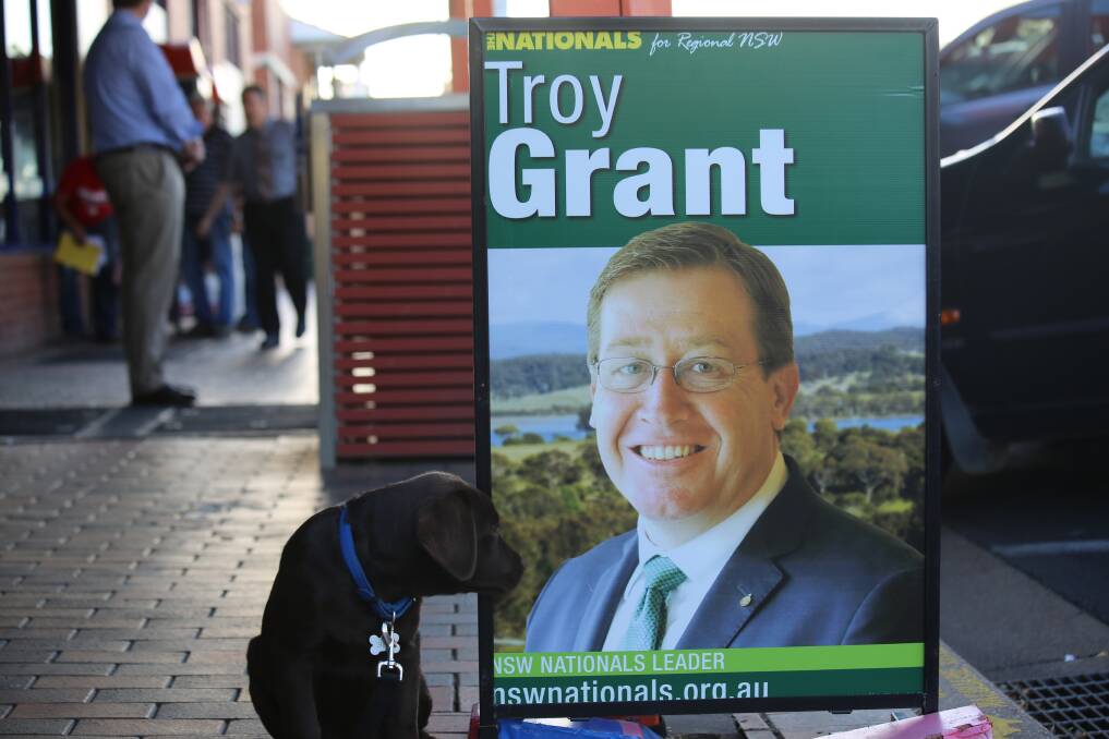 Aaron McDonnell's puppy Beau showed his support for deputy leader Troy Grant while on the trail in Dubbo during the campaign.