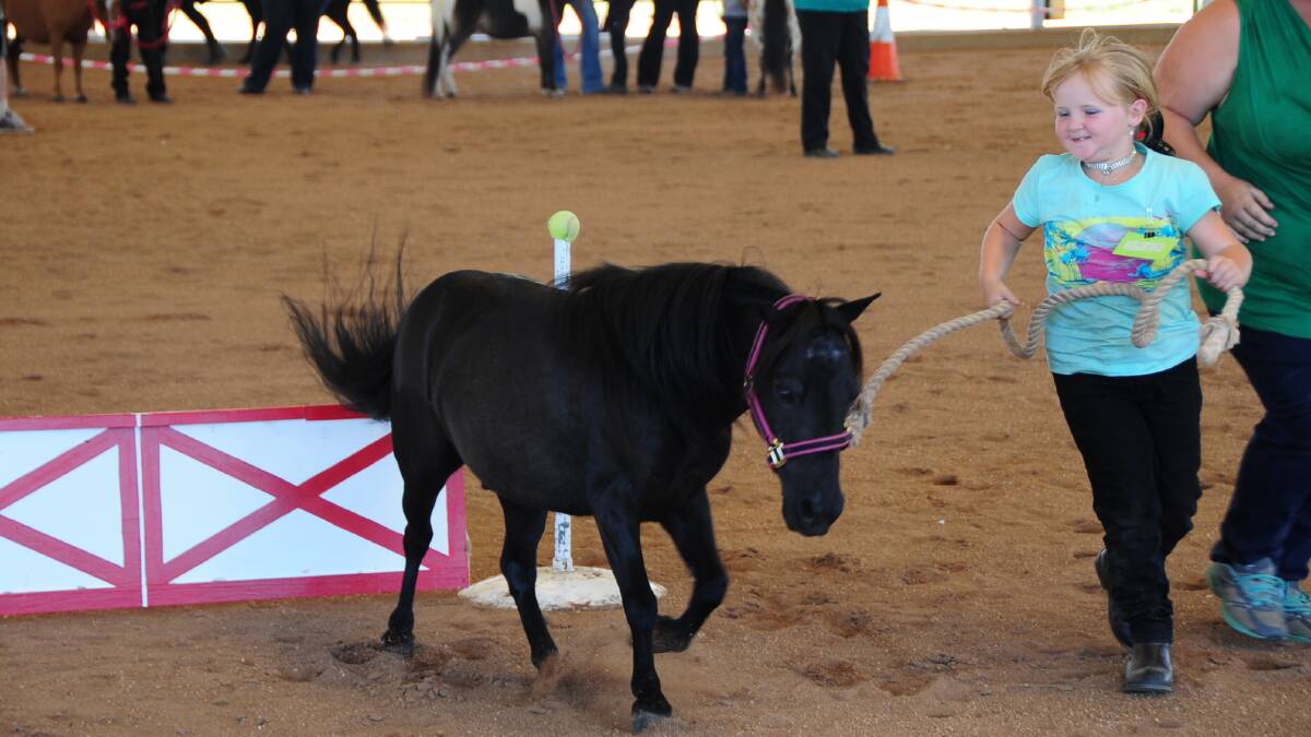 MINIATURE HORSE SHOW: Jasmine Blackman. Photos: CHERYL BURKE