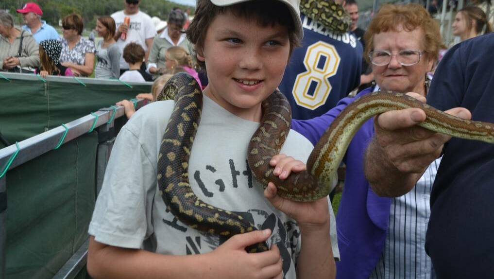 WELLINGTON VINTAGE FAIR: The snakes were a little creepy, but a lot of fun at the fair. 