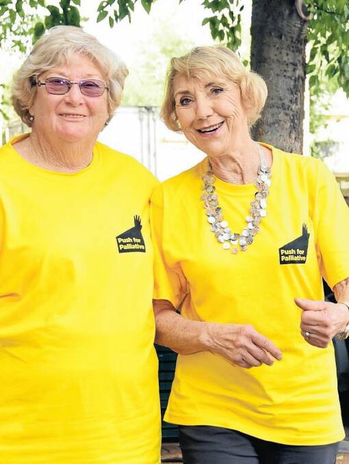 Pushing for Palliative; Dubbo ambassador Barbara O'Brien and Dr Yvonne McMaster. Photo: BELINDA SOOLE