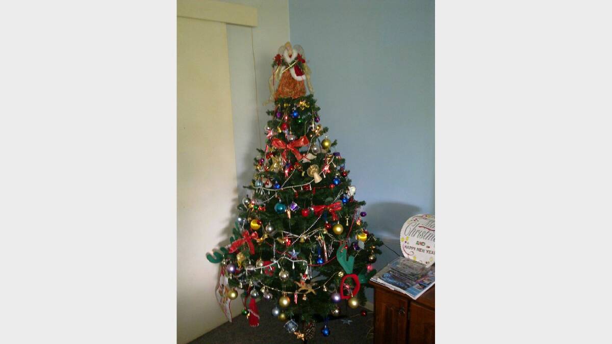 17. HOME: Thanks to Julie Long for this beautiful tree.  Is it the best tree you have seen? Vote below. 