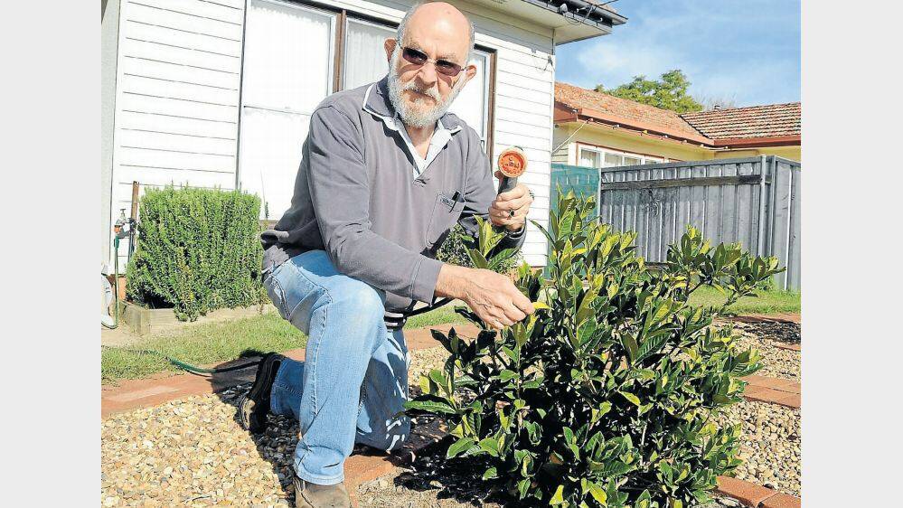 JUNE: Dubbo pensioner Ken Windsor watering his garden, which is set to cost him an extra $80 in the financial year beginning July 1, unless Dubbo City Council changes its policy. ` Photo: CHERYL BURKE