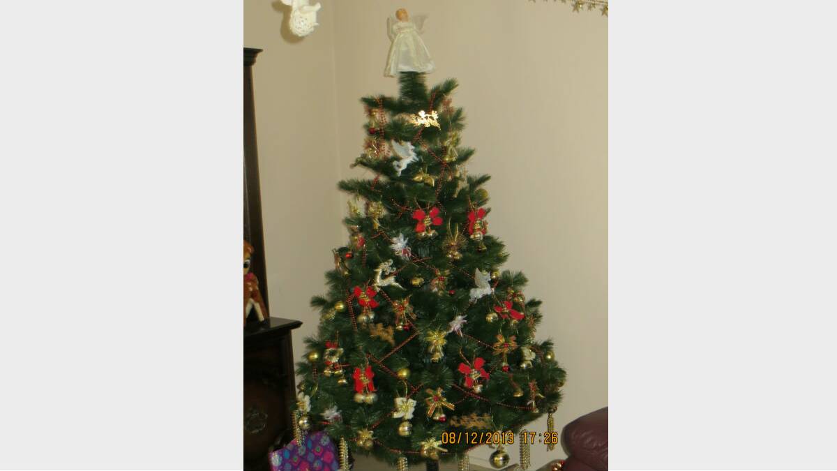 6. HOME: This tree was sent in by Leonie Hedger for Brian as he decorates the Christmas Tree each year. Do you think Brian's decorations are a winner? Vote below. 