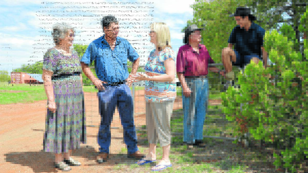 Always lots to do and talk about on the farm at Swansea (l-r) Neil, Cliff, Alison, Helen and Hayden Westcott. Photo: Bill Jayet