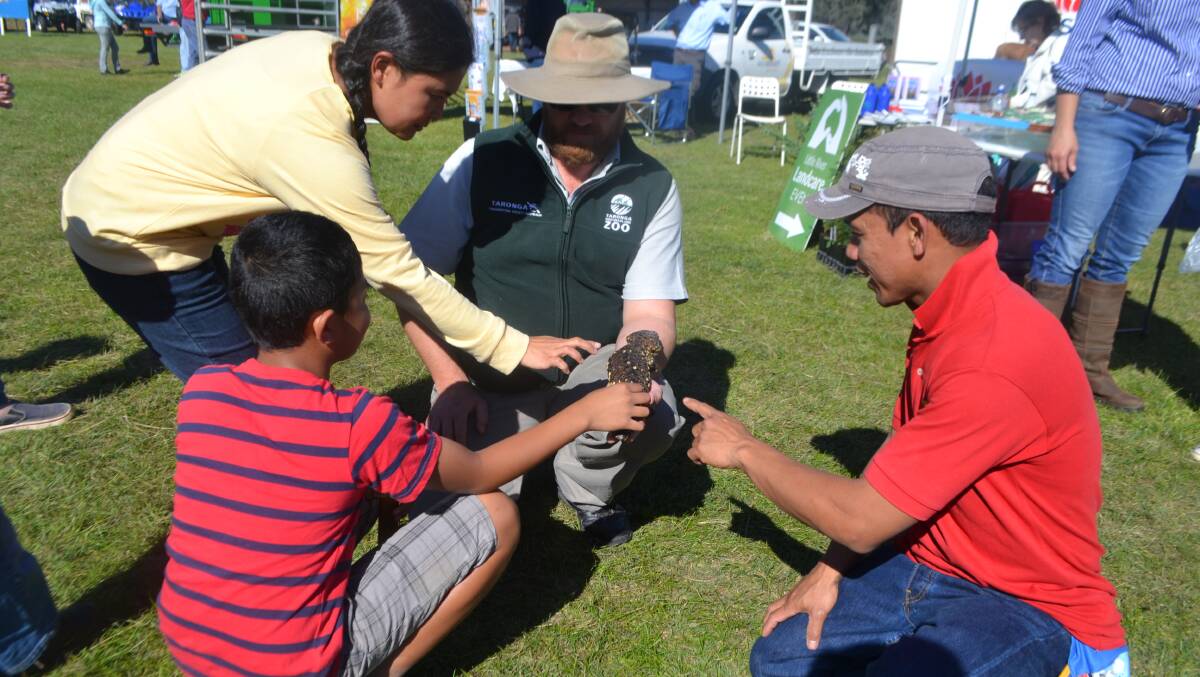 Big crowds, a large number of entries and some great smiles at the 2014 Yeoval Show. Wellington Times reporter Farren Hotham caught up with people from all over NSW.