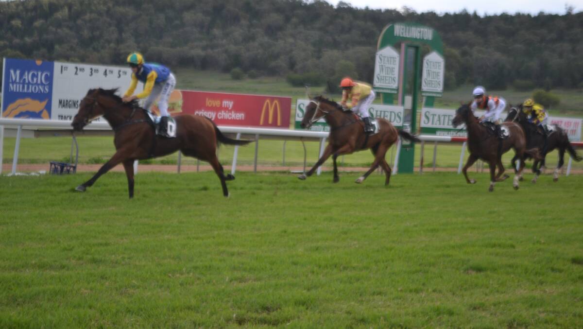 Out On A Limb wins the final race on day one of the Wellington boot carnival.
