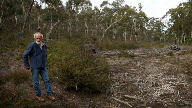 Chris Jonkers of the Lithgow Environment Group at East Wolgan swamp, which has been extensively damaged by subsidence from the underground coal mine. Photo: Wolter Peeters