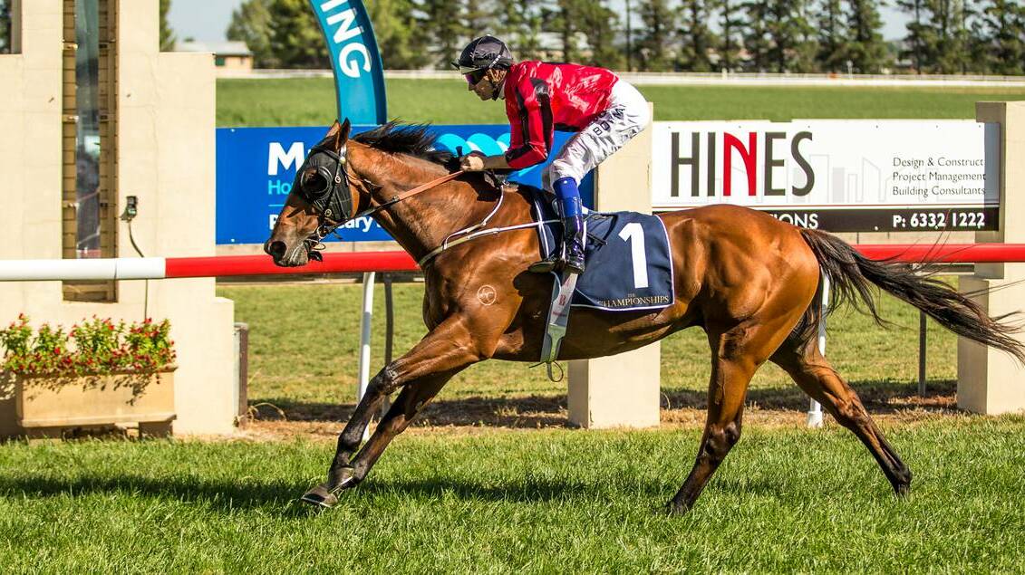 Binalong Road eases down to win the Country Championships heat at Bathurst yesterday. Photo: JANIAN McMILLAN (www.racingphotography.com.au)