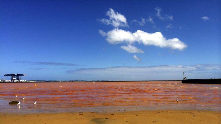 The orange plume that invaded Foreshore Beach at Port Botany in February. Photo: NSW EPA