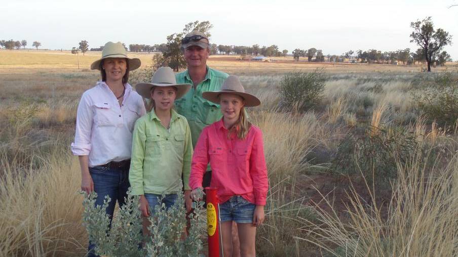 Catherine, Andrew, Annabelle and Belinda Campbell in the tree corridor they planted in August last year .
